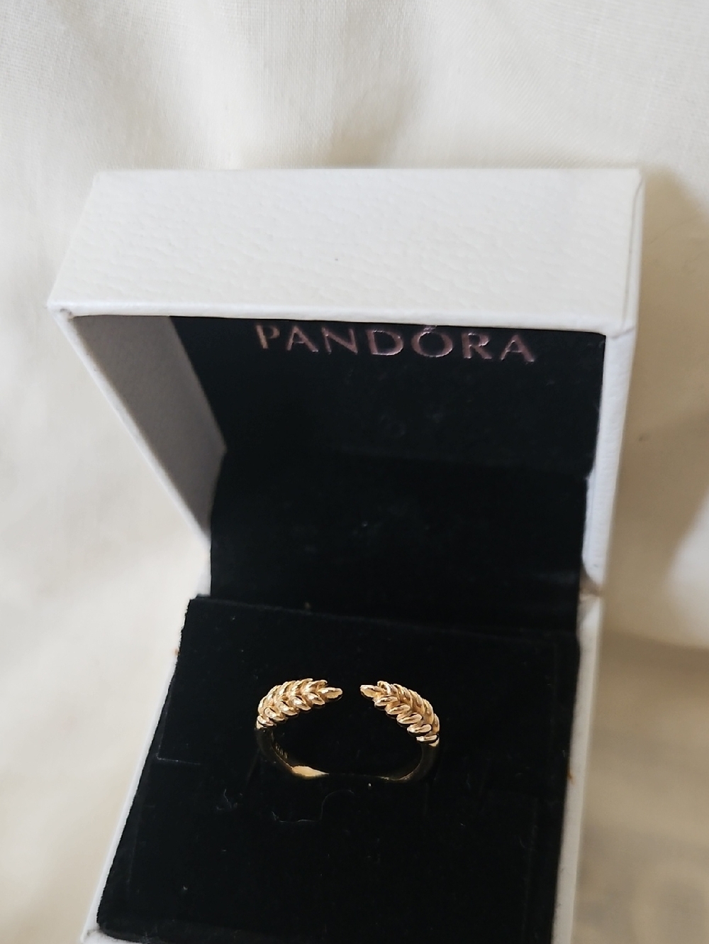 Pandora Shine Open Grains Ring - Size 50